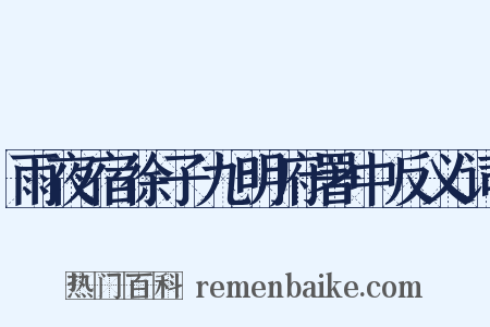 雨夜宿徐子九明府署中反义词是什么意思的图片